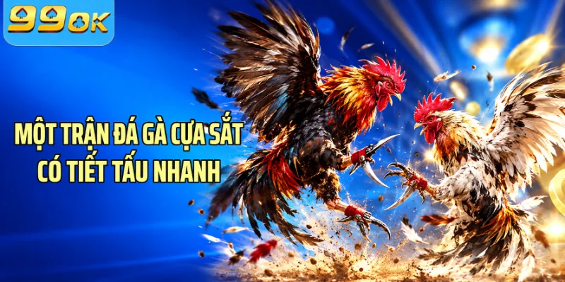 Một trận đá gà cựa sắt có tiết tấu nhanh