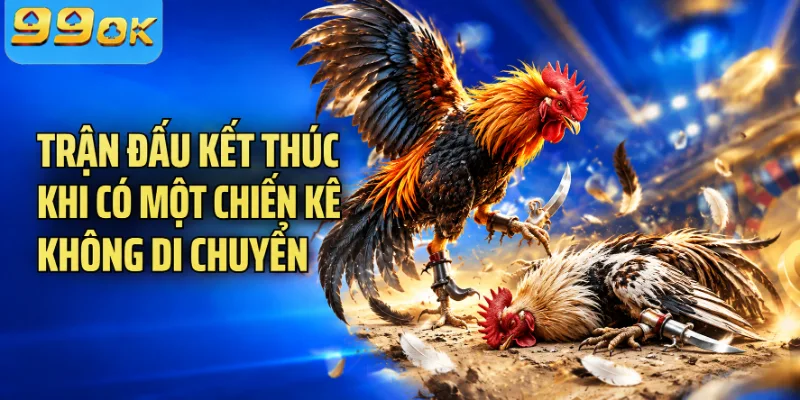 Trận đấu kết thúc khi có một chiến kê không di chuyển